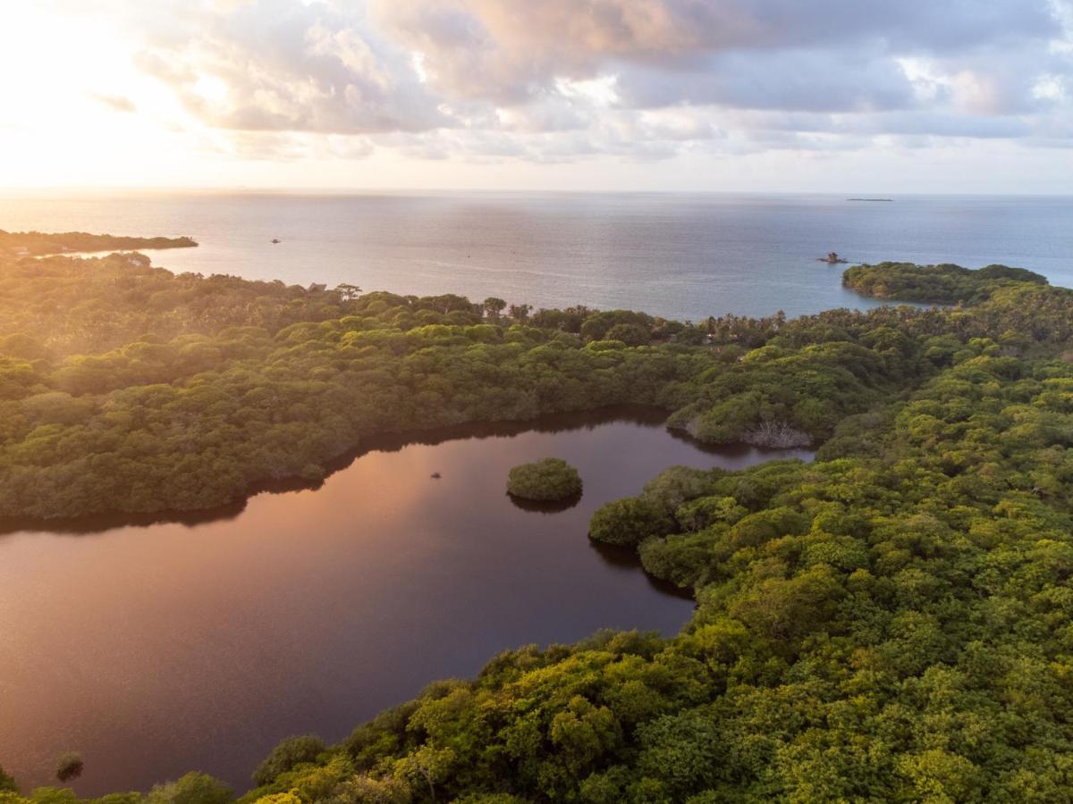Rosario Ecohotel Isla Grande  Eksteriør bilde